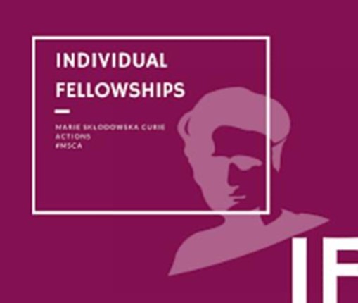Individual Fellowships